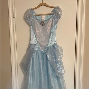 Disney Cinderella Light Blue Princess Costume
